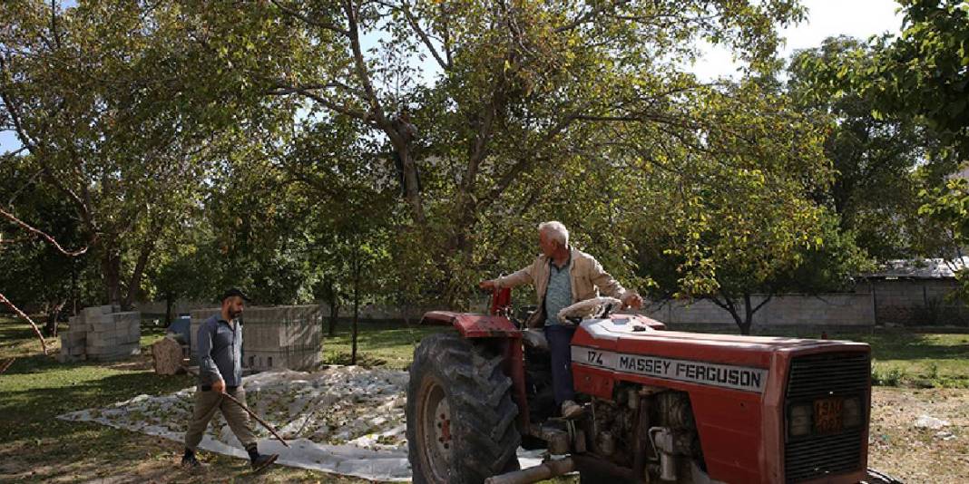 Süphan Dağı eteklerinden dünyaya uzanıyor! Bereketli hasat yok satıyor: Arap ülkeleri kimseye bırakmıyor 3